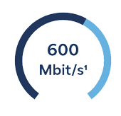 Glasfaser-600 Glasfaser-600